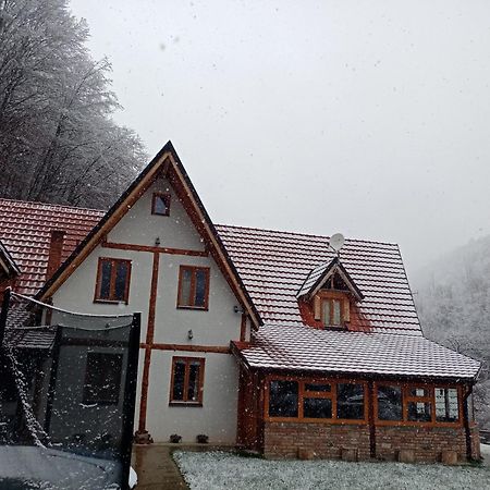 Staroplaninski Apartments Crni Vrh 外观 照片