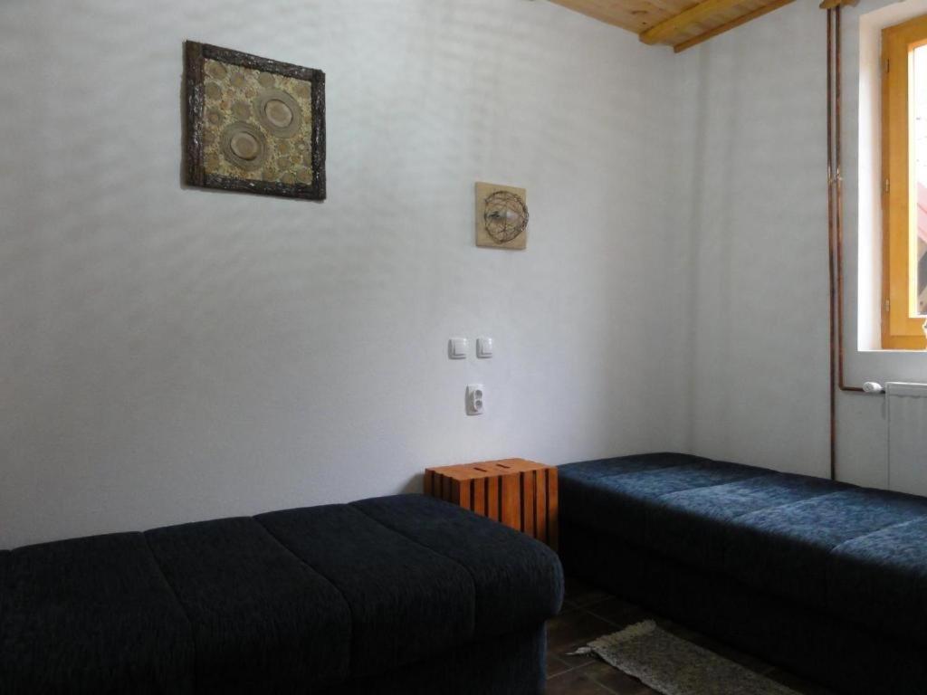 Staroplaninski Apartments Crni Vrh 外观 照片