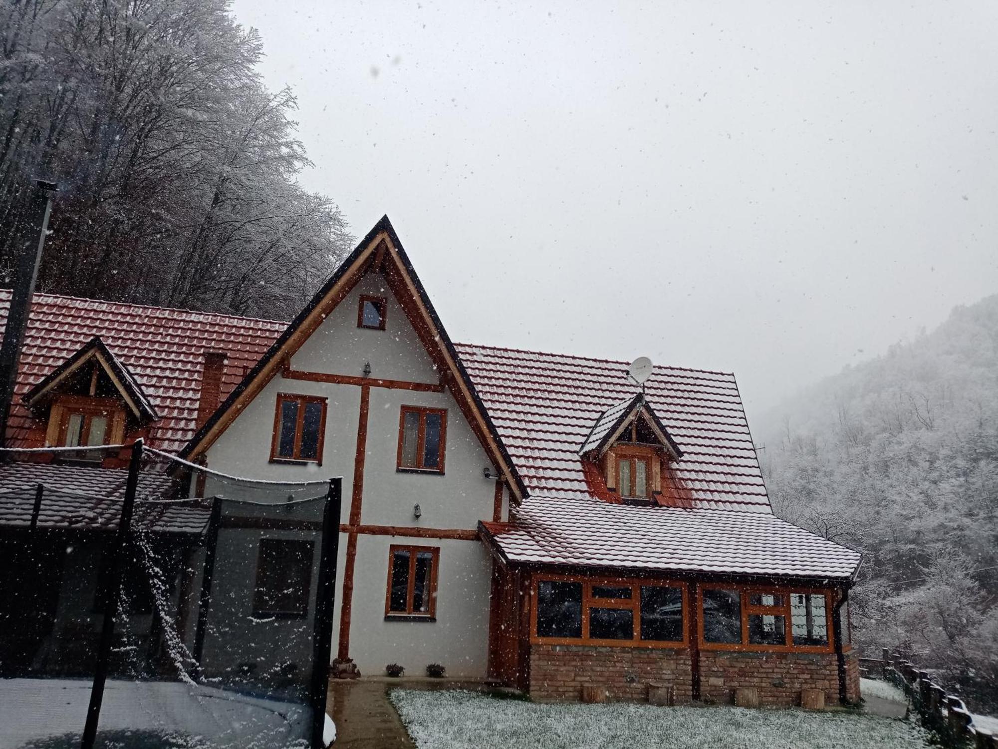 Staroplaninski Apartments Crni Vrh 外观 照片